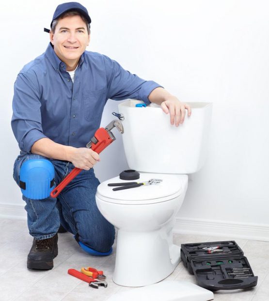 Toilet Repair & Installation Service | Toilet Unclogging | Goldes ...